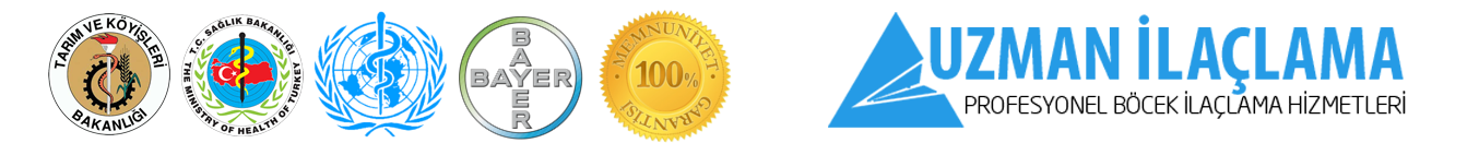 Bakırköy Böcek İlaçlama-Bakırköy İlaçlama-Böcek İlaçlama Bakırköy